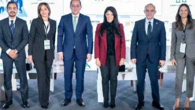 وزير المالية