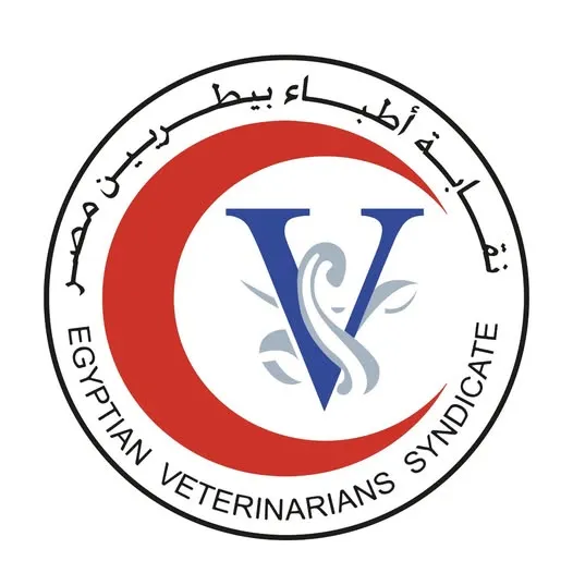 «البيطريين» تحسم الجدل: التعيينات أولوية لا تراجع عنها.. ونظام الاستعانة حل مؤقت لا يغني عنها «البيطريين» تحسم الجدل: التعيينات أولوية لا تراجع عنها.. ونظام الاستعانة حل مؤقت لا يغني عنها