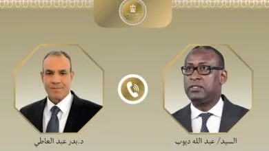 «رسالة مصرية حاسمة لأفريقيا… وزير الخارجية يؤكد دعم القاهرة للقضاء على الإرهاب في الوسط والغرب»