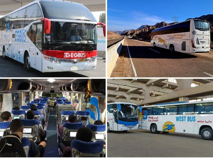 «529 أتوبيسًا جديدًا ودعم للتصنيع المحلي… النقل تكشف خطة شاملة لتحديث أسطول الركاب والبضائع» «529 أتوبيسًا جديدًا ودعم للتصنيع المحلي… النقل تكشف خطة شاملة لتحديث أسطول الركاب والبضائع»