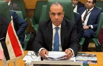 وزير الخارجية: لا بديل عن الحل السياسي الشامل لضمان استقرار الصومال
