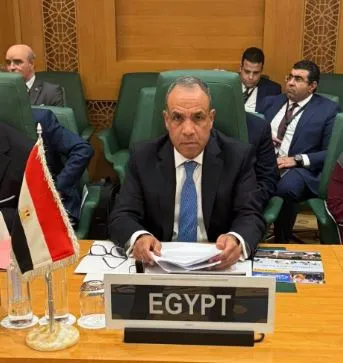 وزير الخارجية: لا بديل عن الحل السياسي الشامل لضمان استقرار الصومال