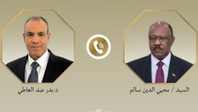 مصر تؤكد ضرورة احترام سيادة السودان ورفض التدخل في شؤونه الداخلية