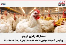 أسعار الدواجن اليوم..ورئيس شعبة الدواجن باتحاد الغرف التجارية يكشف مفاجأة