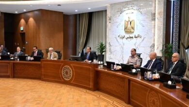 مد مهلة توفيق أوضاع وكالات التشغيل الخاصة 6 أشهر.. وقرار جديد لوزير العمل